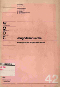 Image of Jeugddelinquentie