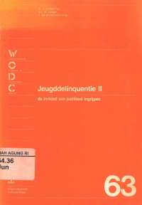 Image of Jeugddelinquentie II
