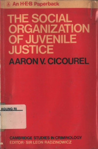 Image of The Social Organization Of Juvenile Justice